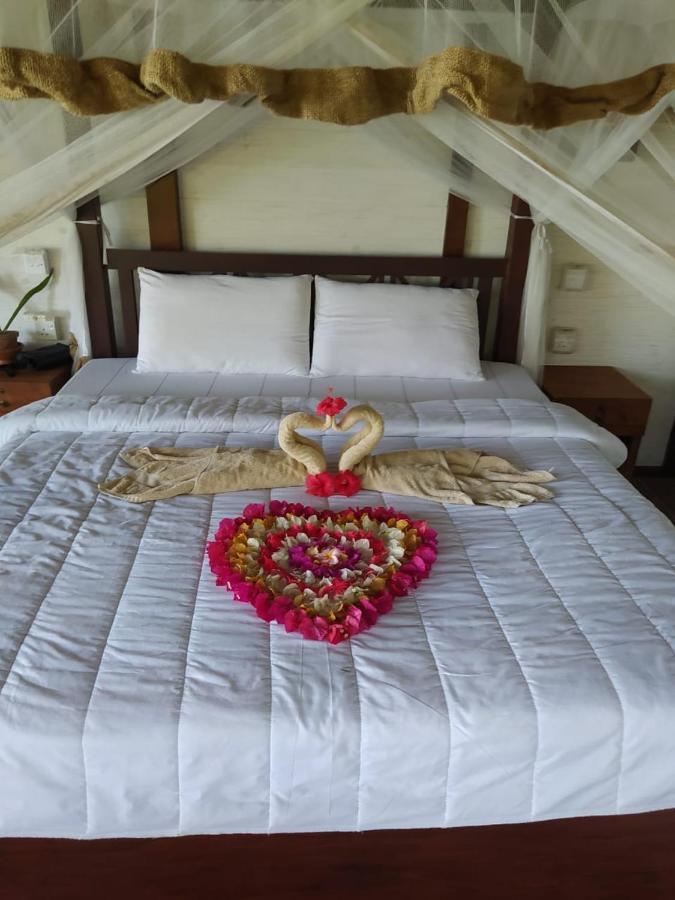 Ts2W See More Beach Treehouse Matara Ngoại thất bức ảnh